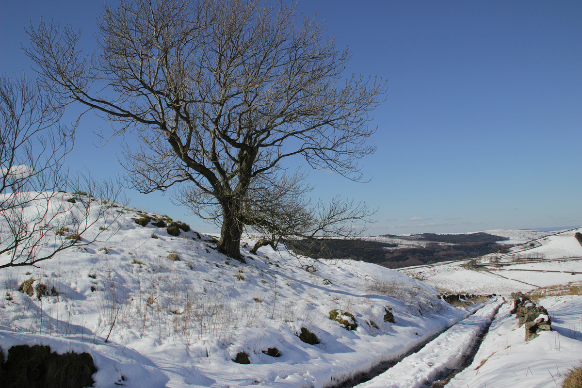 31 Alone in Winter